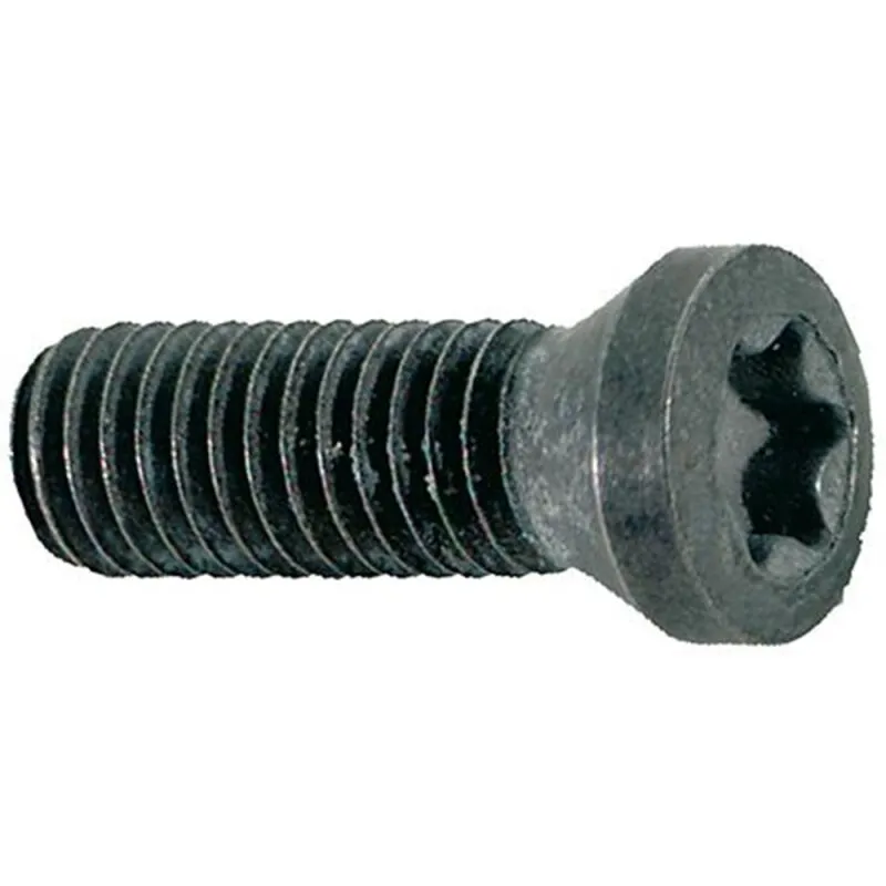 10 Stück Spannschrauben für WSP 0702