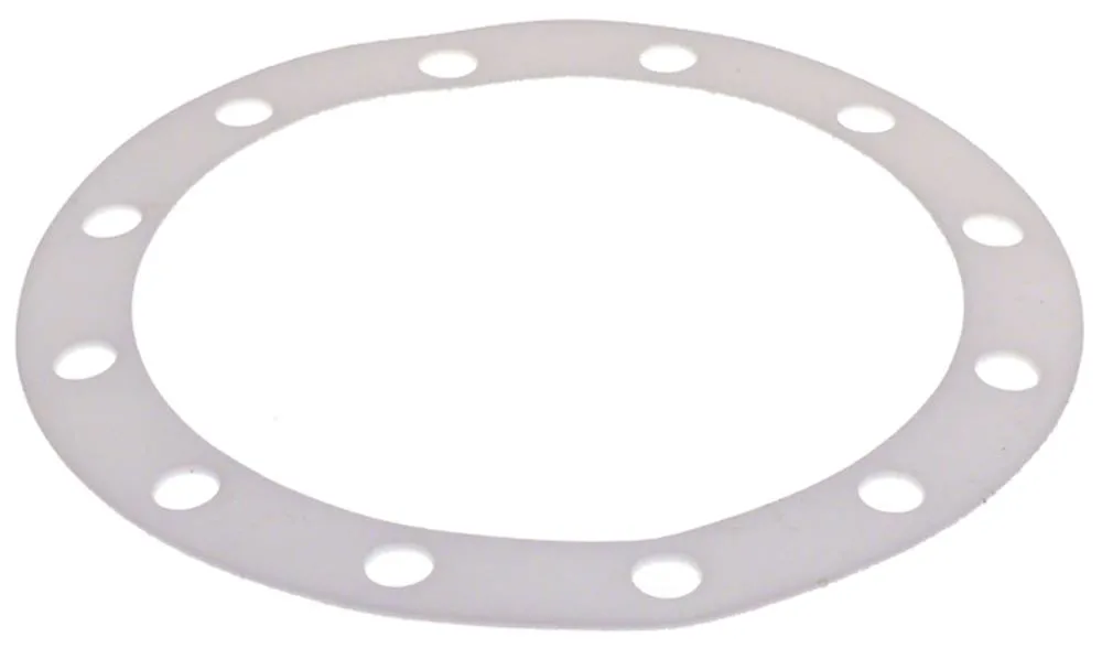 Astoria-Cma Dichtung für Kaffeemaschine CompattaArgenta 12 Löcher PTFE