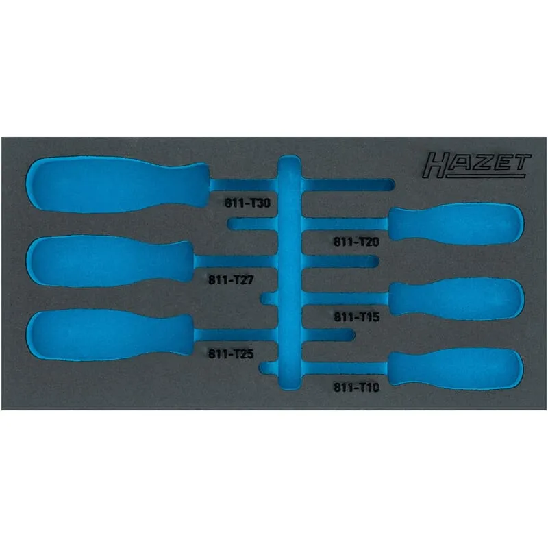 Hazet 163-266LN Weichschaumeinlage