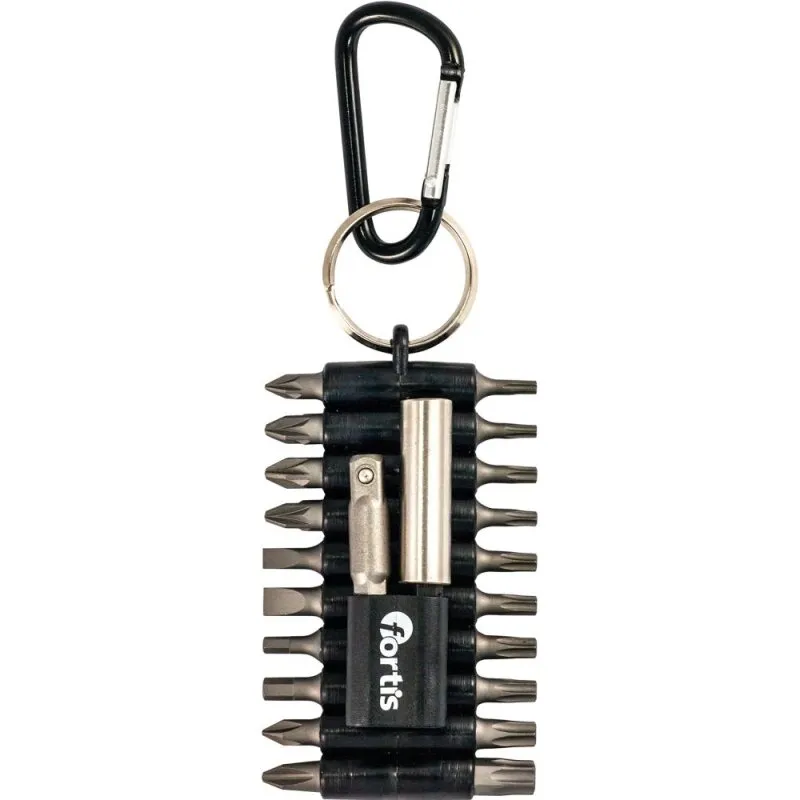 Bit-Sortiment 22-teilig am Ring Fortis