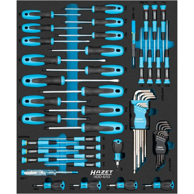 Hazet 163D-6/53 Schraubendreher-Satz 53-teilig