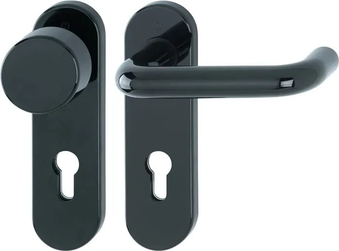 FS-Garnitur Paris FS-K58/353K/138 Ku.F9005 D/K TS 40-66mm PZ rd DIN L/R HOPPE