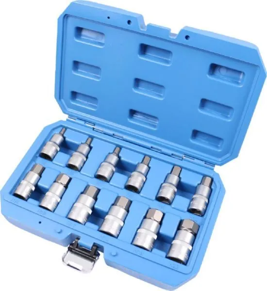Brilliant Tools Bit Stecknuss Satz 1/2 Zoll Innensechskant 12 Teile 5 bis 22 mm