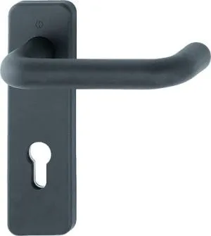 FS-Garnitur Paris FS-K138/202K Ku.F9005M D/D TS 40-66mm PZ ktg.DIN L/R HOPPE