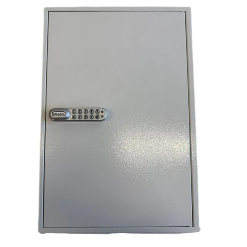 Schlüsselschrank SS 200 Haken mit elektonischem CodeLock